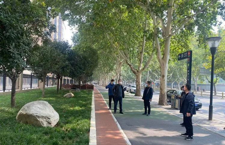 开云体育 开云平台西安市城管局督导组检查碑林区十月份园林绿化精细化管理(图1)
