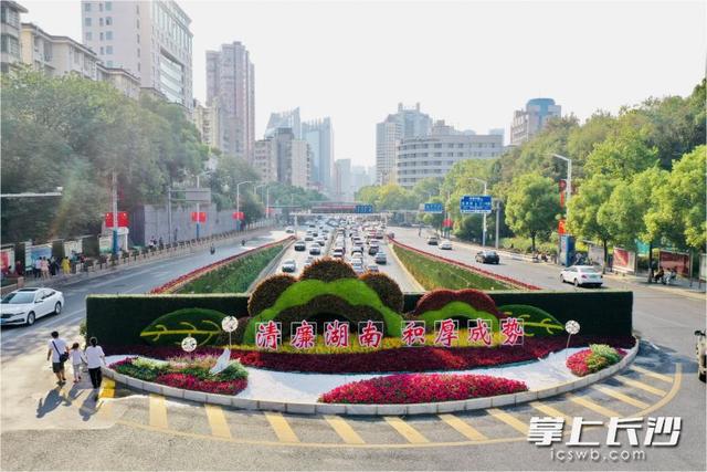 开云体育 开云平台15米长“绿孔雀”开屏东入城口 城北新添三处绿雕景观点(图4)