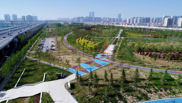 开云 开云体育跻身国家生态园林城市郑州园林绿化脚步不停歇(图1)
