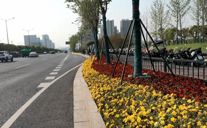 持续发力筑牢园林开云体育 开云平台绿化安全屏障(图2)