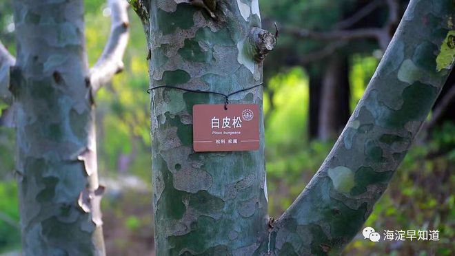 开云 开云体育@邻居们~新增2万余平米！咱家附近这公园大变化快看！(图3)