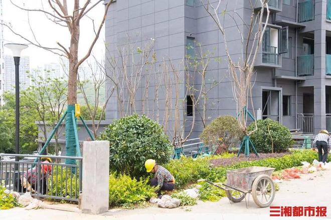 开云 开云体育岳麓区中塘片区安置房项目一期将于年内交房(图2)