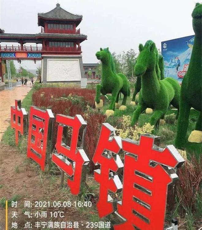 河北唐山迁安金开云体育 开云平台卉苗木基地园林绿化城市景观最佳苗木冰川红叶!(图4) 河北唐山迁安金开云体育 开云平台卉苗木基地园林绿化城市景观最佳苗木冰川红叶!(图4)