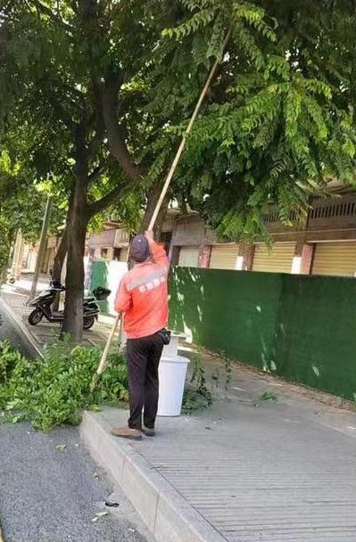 开云体育 开云官网前三季度市政园林所持续做好园林绿化管护(图1)