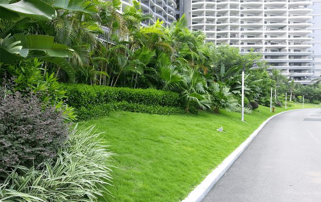开云 开云体育城市园林绿化节约养护问题研究(图1)