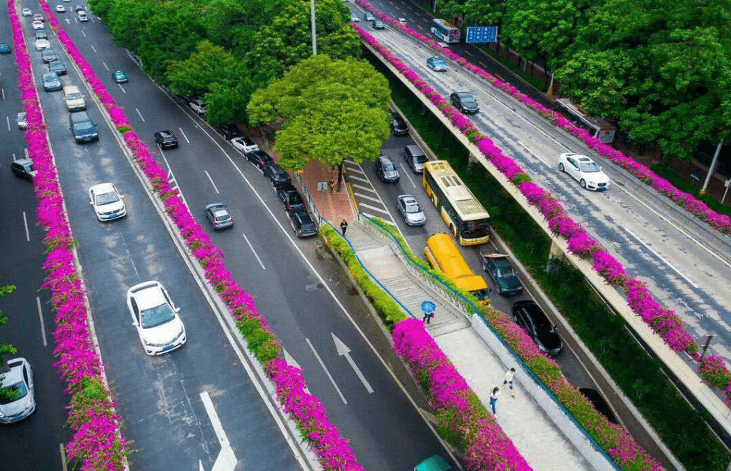 立体绿化引领未来城市花样变身开云体育 开云官网(图3)