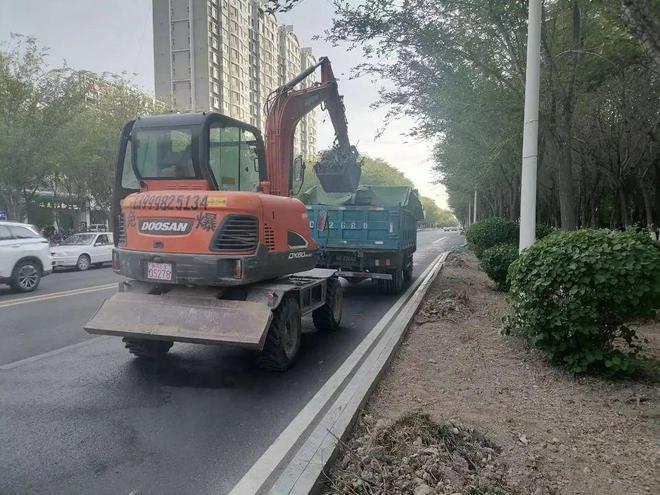 开云体育 开云官网全面开展绿化带专项整治行动 助力文明城市创建(图3)
