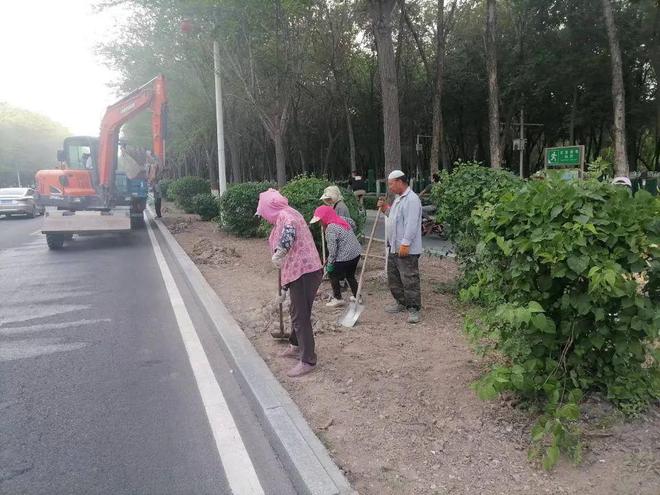 开云体育 开云官网全面开展绿化带专项整治行动 助力文明城市创建(图1)