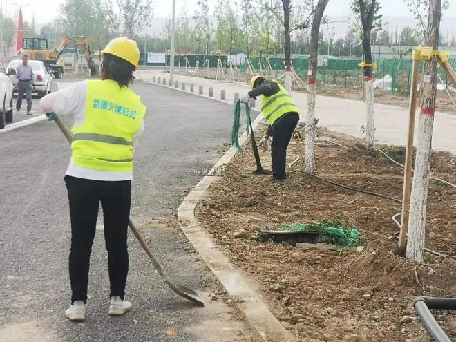 开云体育 开云官网全面开展绿化带专项整治行动 助力文明城市创建(图4)