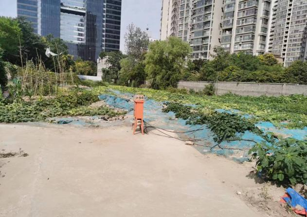 映开云 开云体育象新闻(图9)
