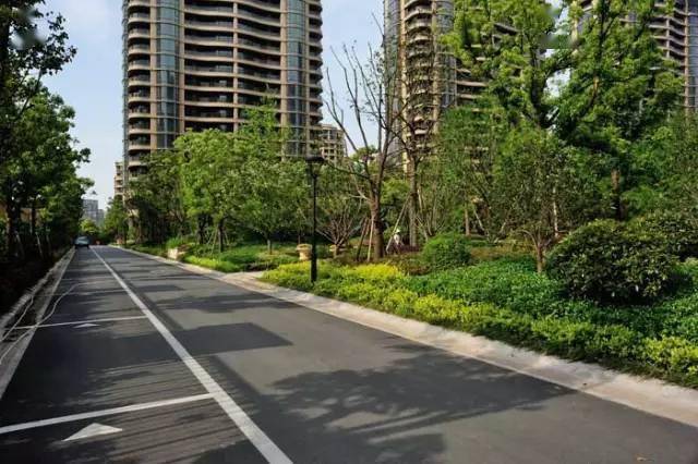 开云体育 开云平台设计师必备手册道路绿化设计规范大全(图2)