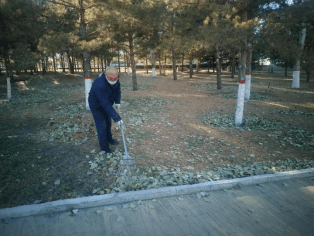 园林绿化服务中心：开展开云体育 开云平台秋冬季爱国卫生运动(图1)
