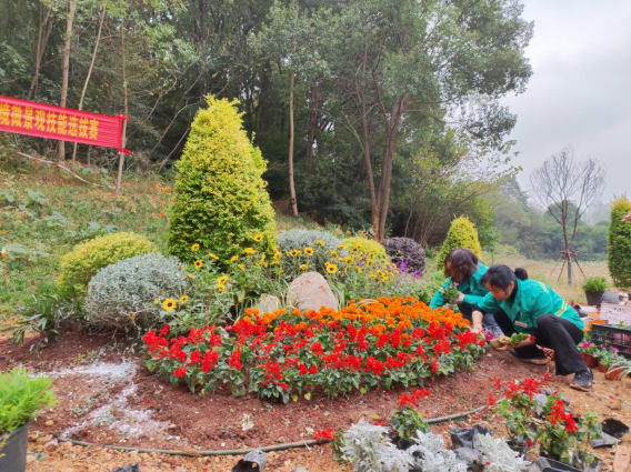 永州市园林绿化行业（花境微景观营造）职业技能竞赛圆开云体育 开云官网满结束(图1)