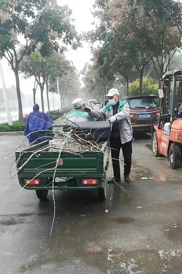 开云体育 开云官网运城市园林绿化服务中心：凝聚园林硬核力量 奏响绿化“最强音”(图3)