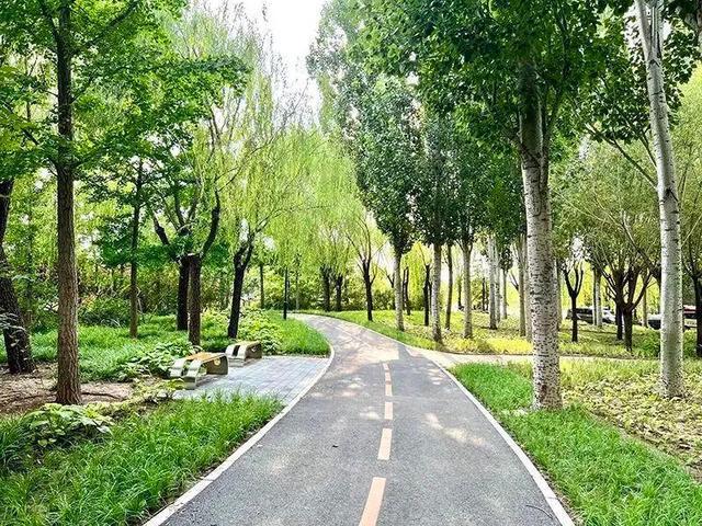 从蓝绿交融到鸟语花香大尺度绿化看朝阳→开云 开云体育(图5)