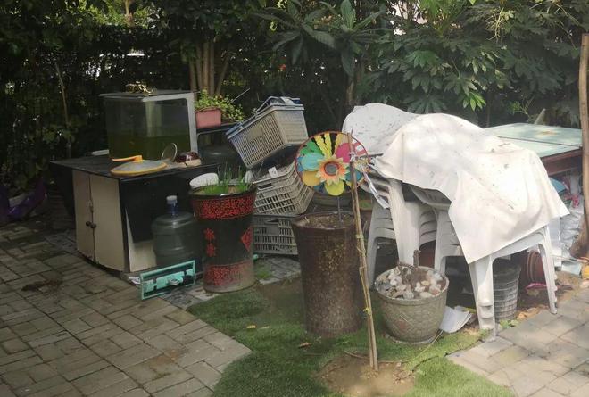开云体育 开云官网“好想有个小小花园啊……”这两块“边角绿地”成居民的ZHI享花园！(图2)