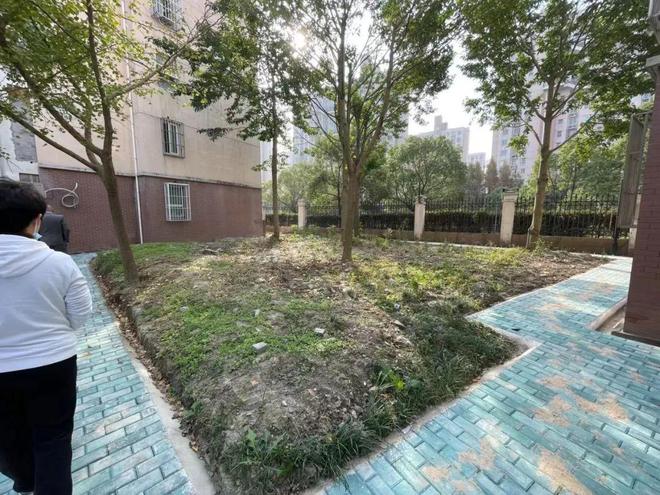开云体育 开云官网“好想有个小小花园啊……”这两块“边角绿地”成居民的ZHI享花园！(图3)