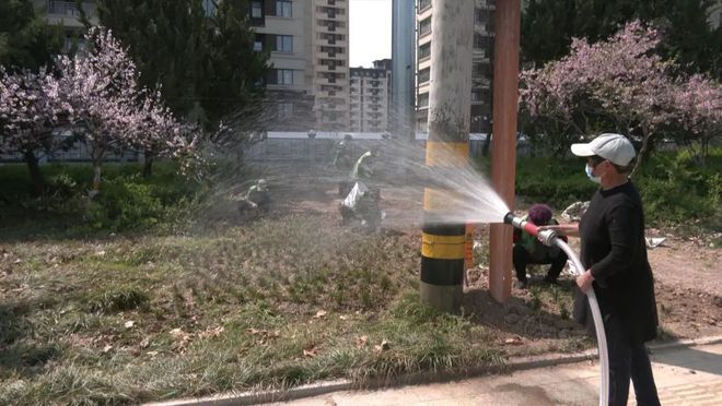 县园林绿化服务中心：精细化管理 精心化提升 推进园林绿化各项工作提质开云 开云体育增效(图3)