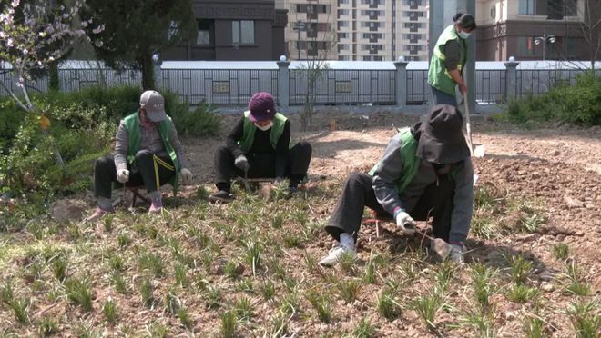 县园林绿化服务中心：精细化管理 精心化提升 推进园林绿化各项工作提质开云 开云体育增效(图4)