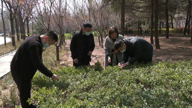 县园林绿化服务中心：精细化管理 精心化提升 推进园林绿化各项工作提质开云 开云体育增效(图6)