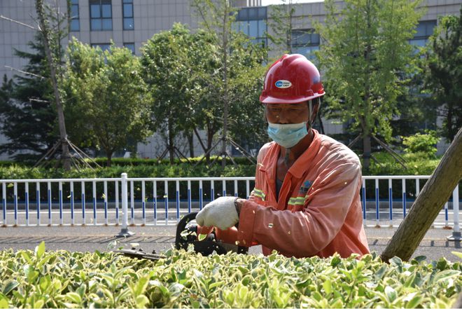 非凡十年 再启新程丨青开云体育 开云平台岛高新区：推进园林绿化养护 提升城市宜居品质(图2)