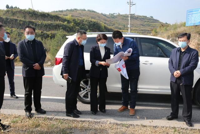稷山县县委副书记、县长、县总林长王润调研指导通道绿化工开云 开云体育作(图1)