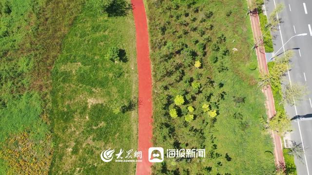 变了!迎宾路开云体育 开云APP!(图4) 变了!迎宾路开云体育 开云APP!(图4)