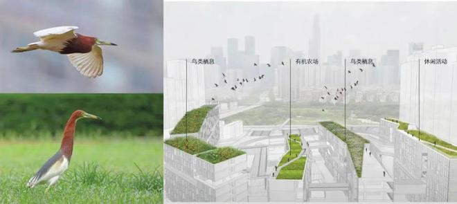 深圳这波校园改建潮让我看到了这一代孩子的教育红利开云 开云体育(图32)
