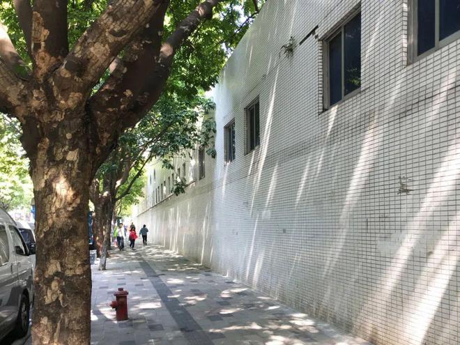 深圳这波校园改建潮让我看到了这一代孩子的教育红利开云 开云体育(图36)