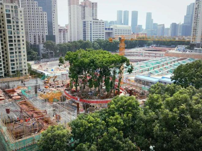 深圳这波校园改建潮让我看到了这一代孩子的教育红利开云 开云体育(图35)