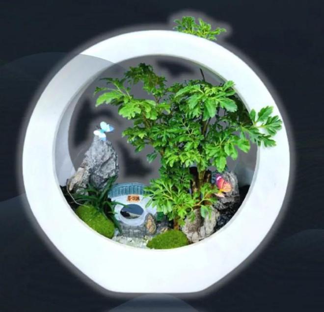 开云 开云体育“2022年绿化大篷车”第四次线上花市顺利举办！(图4)