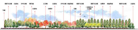 转角遇见美“回天”这个“口袋公园”已完工开云体育 开云官网(图6)
