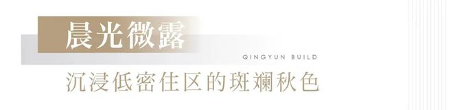 时光志·秋丨绿都·青云筑诗意生活的开云 开云体育每一帧都令人着迷(图1)