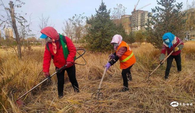 开云APP 开云体育【学习贯彻的二十大精神】民勤：“管护套餐”让园林绿化越冬有保障(图2)