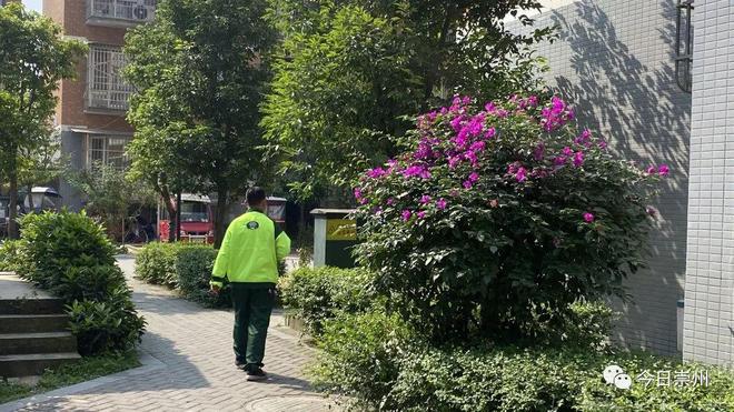 开云体育 开云平台老旧院落改造 居民幸福感“原地”升级(图6)