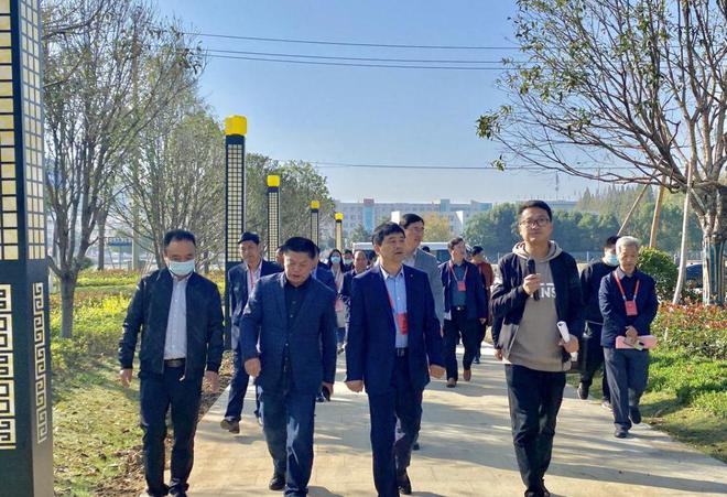 开云体育 开云官网商城县政协开展“加快县城提质提效 提升城市品位”调研活动(图1)