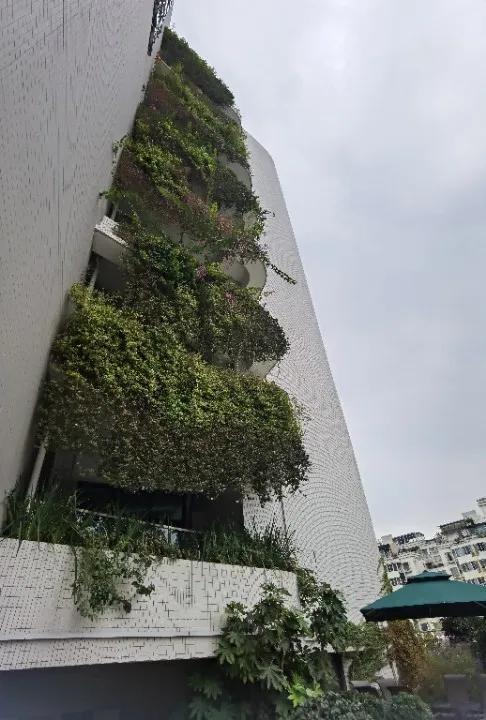 “绿色低碳”满格！金牛这栋旧楼节能改造大变身开云体育 开云平台(图2)