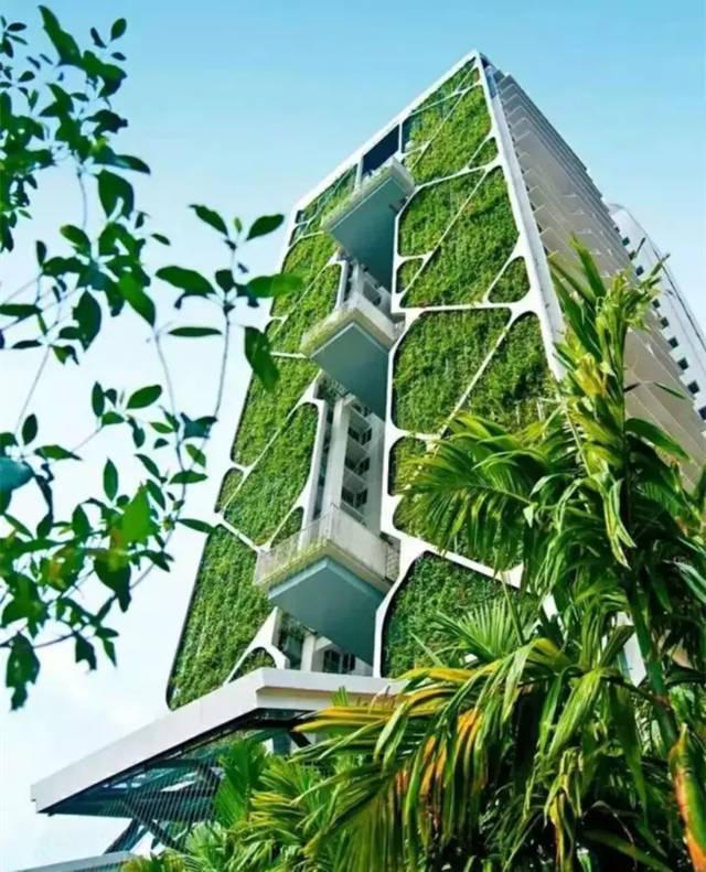 园林景观设计中的立体绿化到底是什么？设计布局有什么开云体育 开云官网特点？(图16)