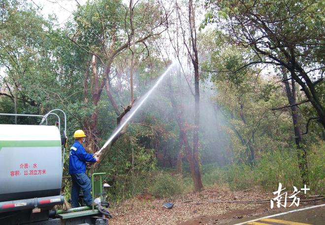 连州补水增湿绿化植被“解渴开云 开云体育”(图1)
