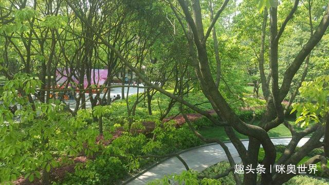 开云体育 开云平台上海在改造的一座公园绿化环境异常出色停车位还不少于1000个(图6)