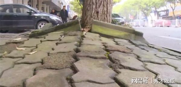 开云体育 开云平台北大教授吐槽“反人类”设计：如今的城市建设简直让人寸步难行(图8)