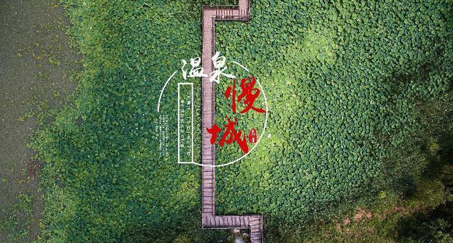 开云体育 开云平台搞好顶层设计 推进黄河国家文化公园（山东段）建设(图3)