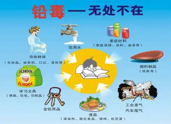 开云体育 开云平台【地理探究】建设中的京台高铁线去台湾》《坐上高铁去台北》为啥高速两边50米内不能种庄稼而要绿化？原来有这么多考点(图2)