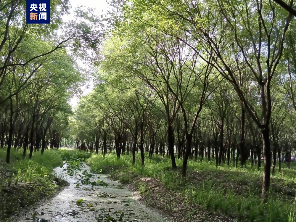 为开云体育 开云官网动物安家！北京今年已建成超百处生态保育小区(图1)
