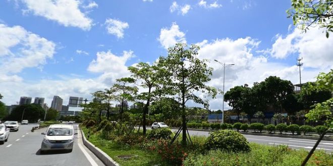 定了！11开云体育 开云官网月25日揭幕丨中山一周(图15)