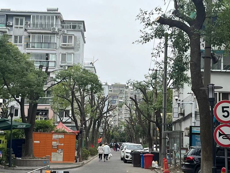左右为难的小区“绿化修剪”：已有修剪规范为何矛盾冲突仍不断？开云 开云体育(图1)
