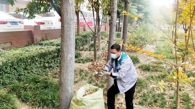 开云 开云体育运城市园林绿化服务中心多措并举开展秋季绿化养护工作(图3)