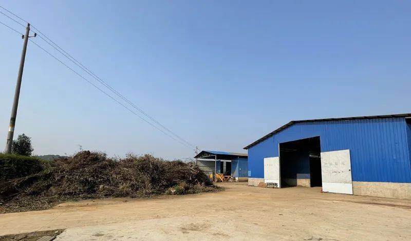 开云 开云体育APP重磅！住建部：开展城市园林绿化垃圾处理和资源化利用试点(图5)
