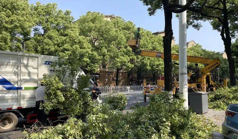 开云 开云体育APP重磅！住建部：开展城市园林绿化垃圾处理和资源化利用试点(图4)