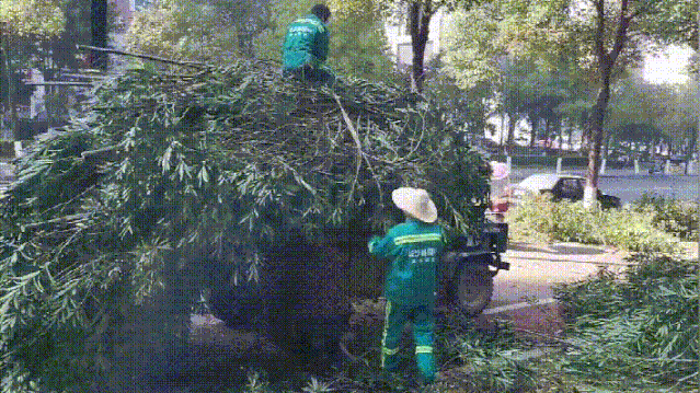 开云 开云体育APP重磅！住建部：开展城市园林绿化垃圾处理和资源化利用试点(图2)